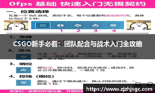 CSGO新手必看：团队配合与战术入门全攻略